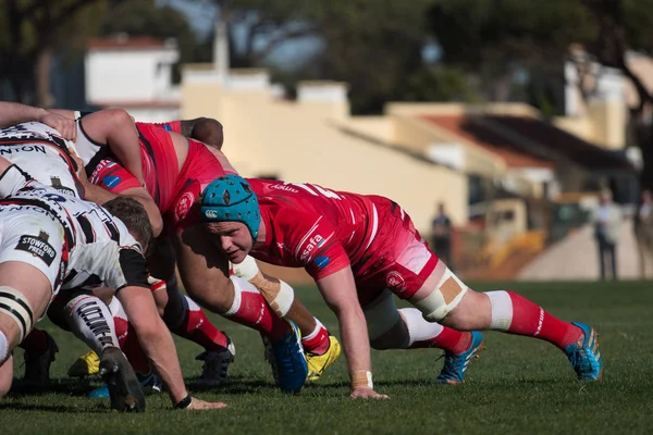 Rugby oyuncuları Algarve Rugby Festivali — Stok fotoğraf