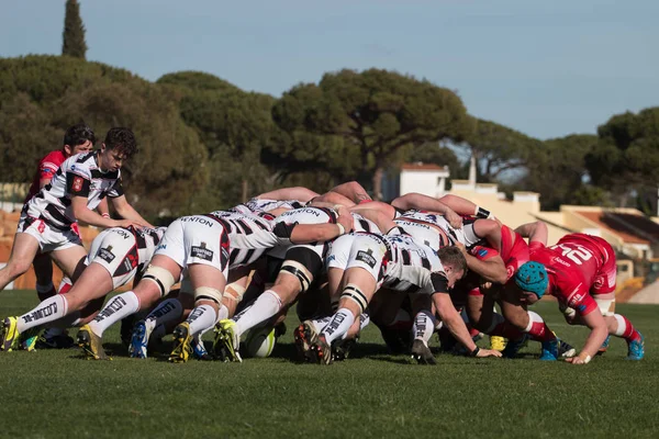 Rugby oyuncuları Algarve Rugby Festivali — Stok fotoğraf