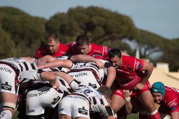 Rugby oyuncuları Algarve Rugby Festivali — Stok fotoğraf