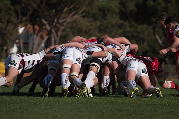 Rugby oyuncuları Algarve Rugby Festivali — Stok fotoğraf