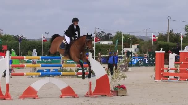 Cavalo obstáculo salto competição — Vídeo de Stock