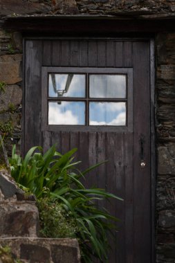 Palm bitki ve rustik kapı