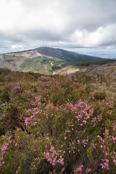 Landscape of trevim mountain — Stock Photo, Image