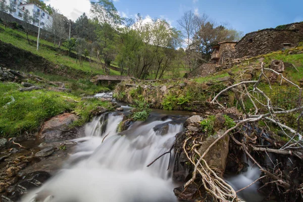 自然の渓流と山の水の — ストック写真