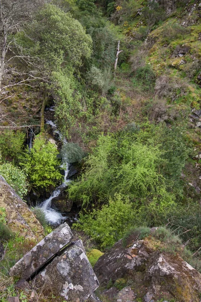 Natural stream of mountain water — Stock Photo, Image