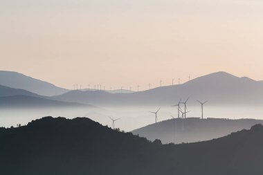 Sabahları puslu hills