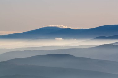 Sabahları puslu hills