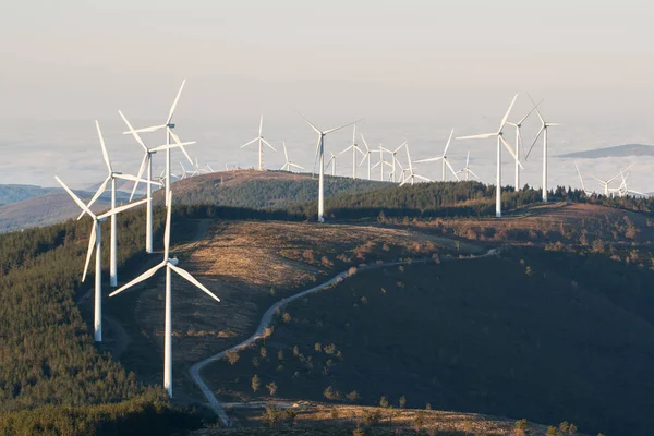 Eolic wind generators — Stock Photo, Image
