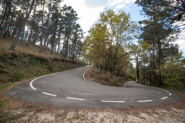 Tight curve on the forest — Stock Photo, Image