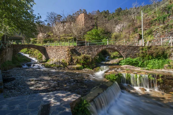 Natural creek in the mountains — Stock Photo, Image