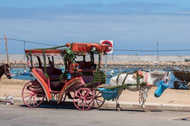 Turistik at arabası dekore edilmiş