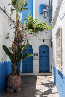 Asilah mimari Ayrıntılar