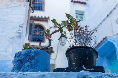 Chefchaouen şehir binaları