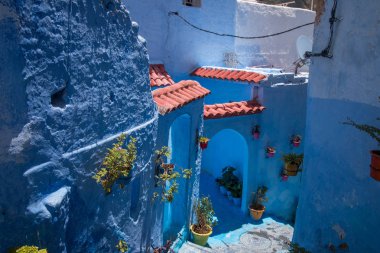 Chefchaouen flower vases