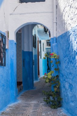 Chefchaouen şehir binaları