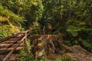 Caldeira Velha thermal spring