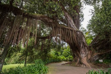 Terra Nostra doğa parkı