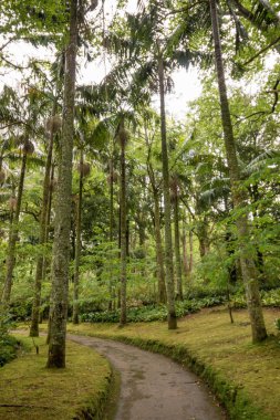 Terra Nostra doğa parkı