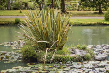 Terra Nostra doğa parkı