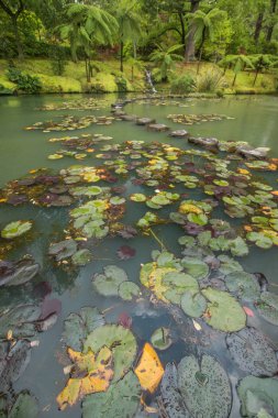 Terra Nostra doğa parkı