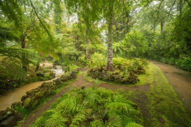 Terra Nostra doğa parkı