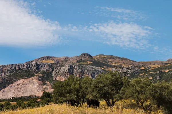 Barriera di montagna rigida — Foto Stock