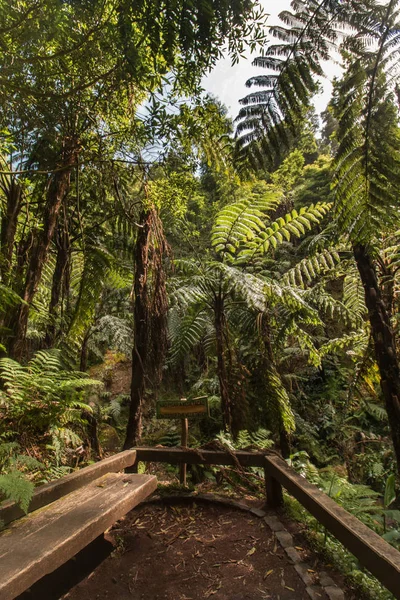 Caldeira Velha location