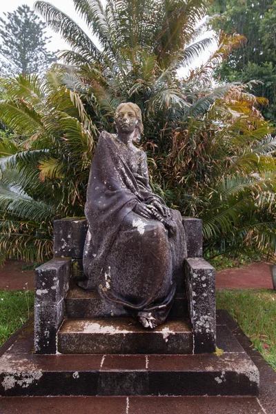 Statue in pineapple plantation — Stock Photo, Image