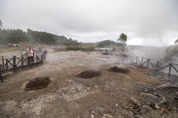 Cozido burrows op de grond — Stockfoto