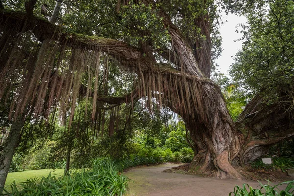 Terra Nostra doğa parkı