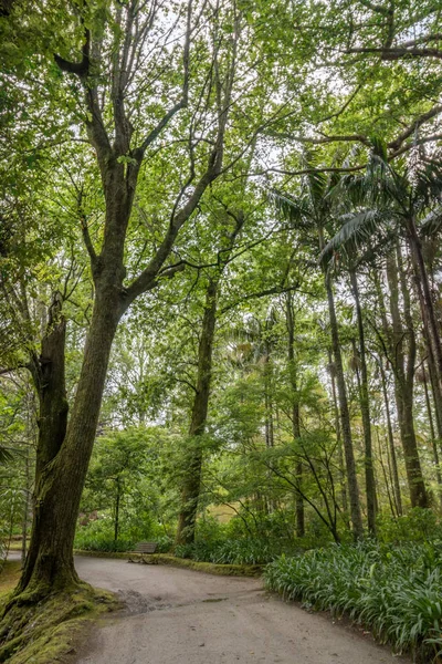 Terra Nostra doğa parkı