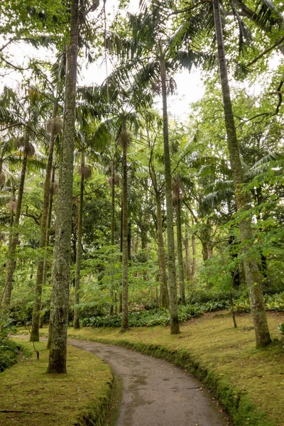 Terra Nostra doğa parkı