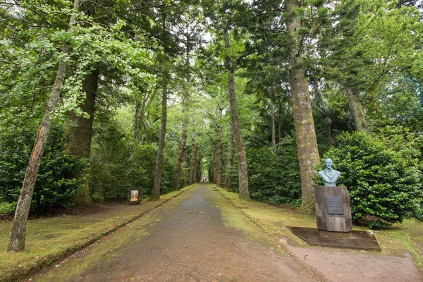 Parque Natural Terra Nostra — Fotografia de Stock