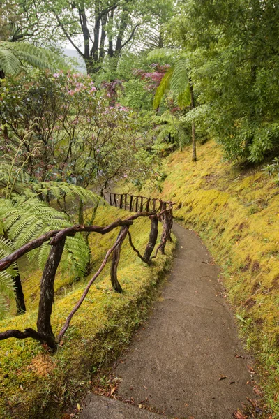 Terra Nostra natuurpark — Stockfoto