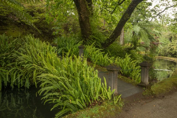 Terra Nostra přírodní park — Stock fotografie