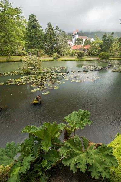 Park przyrody Terra Nostra — Zdjęcie stockowe