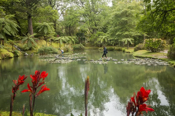 Park przyrody Terra Nostra — Zdjęcie stockowe