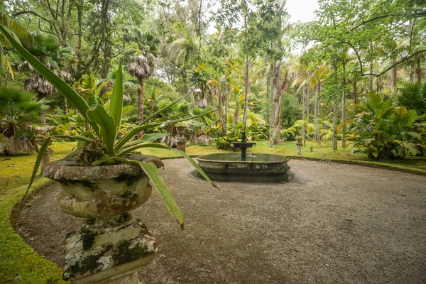 Terra Nostra natuurpark — Stockfoto