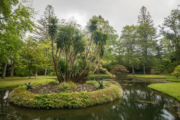 Terra Nostra natuurpark — Stockfoto