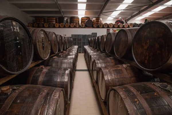 SAO MIGUEL ISLAND, AZORES, PORTUGAL - MAY 24, 2016: Mulher do Ca