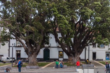 Ribeira Grande city
