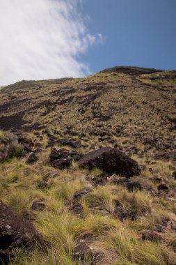 Ponta da Ferraria coastline