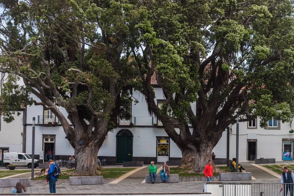 Ribeira Grande city — Stockfoto