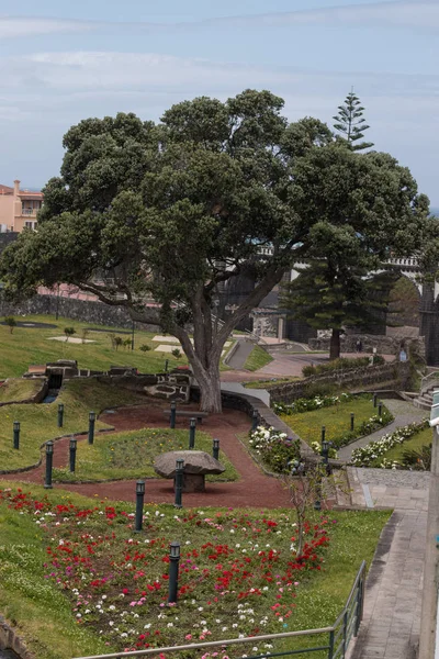 Ribeira Grande city — Stockfoto