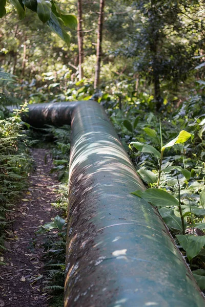 Tubería geotérmica en el bosque — Foto de Stock