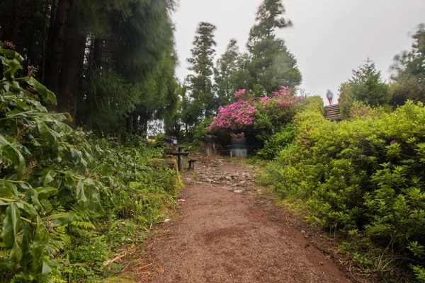 Sendero Lagoa do Canario — Foto de Stock