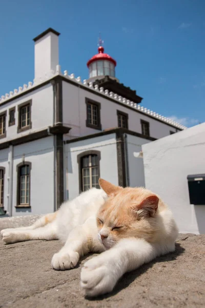 Ponta da Ferraria Lighthouse — стокове фото