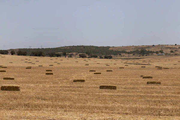 Arid Alentejo landscape — Stock Photo, Image