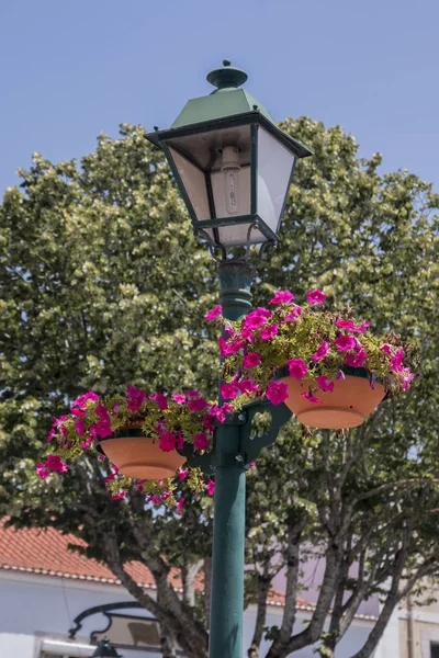 Lampade stradali con vasi di fiori — Foto Stock