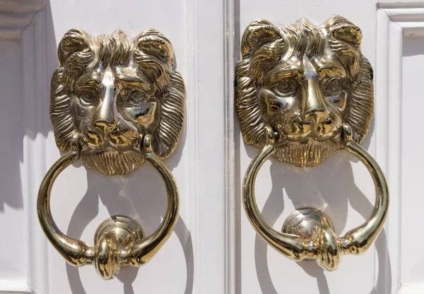 Golden lion door knocker — Stock Photo, Image